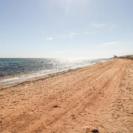 Amazing In San Juan De Terrer San Juan De Los Terreros